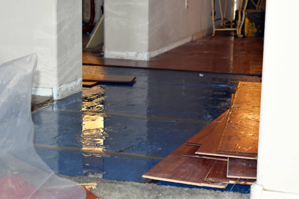 Professional Flood Cleanup technician working in Denton, TX